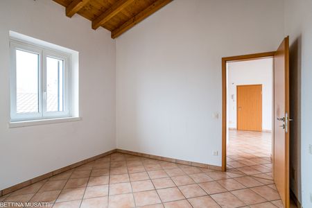 MENDRISIO – 3.5 LOCALI TRAVI A VISTA - Foto 3