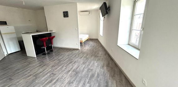 Location Appartement 1 pièce 34m² ST ETIENNE 42000 - Photo 2