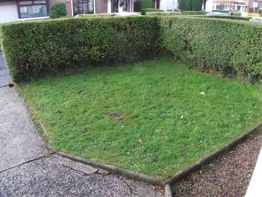 Flush Green, Belfast, BT6 0GJ - Photo 1