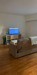 Sharably Large 1 Bedroom Apartment - Photo 3