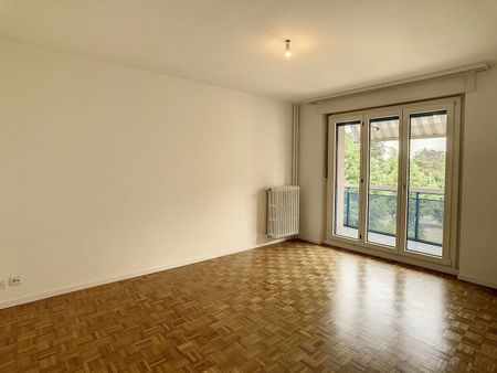 Charmant logement de 3.5 pièces au coeur de Fribourg - Photo 3