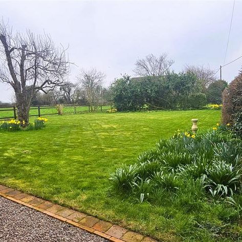 3 bedroom cottage to rent - Photo 1