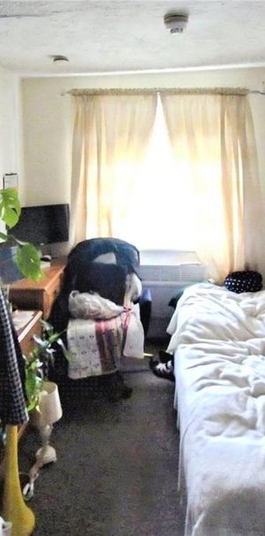 House share to rent - Photo 1