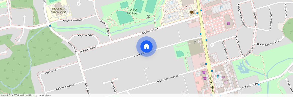 46 Elm Grove Avenue, Richmond Hill