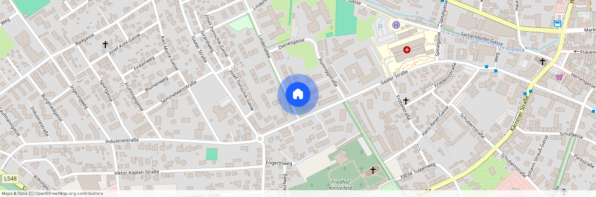 Lindenallee 2a/1, 8720 Knittelfeld