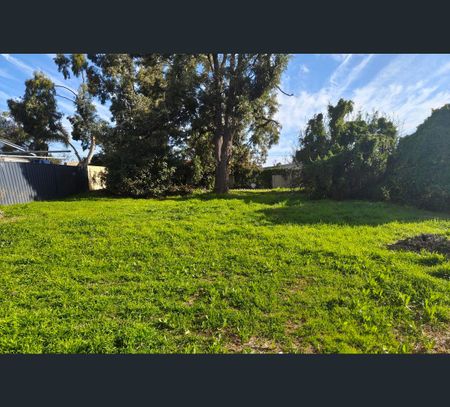 19 Oliver Street, East Bunbury, WA 6230 - Photo 5