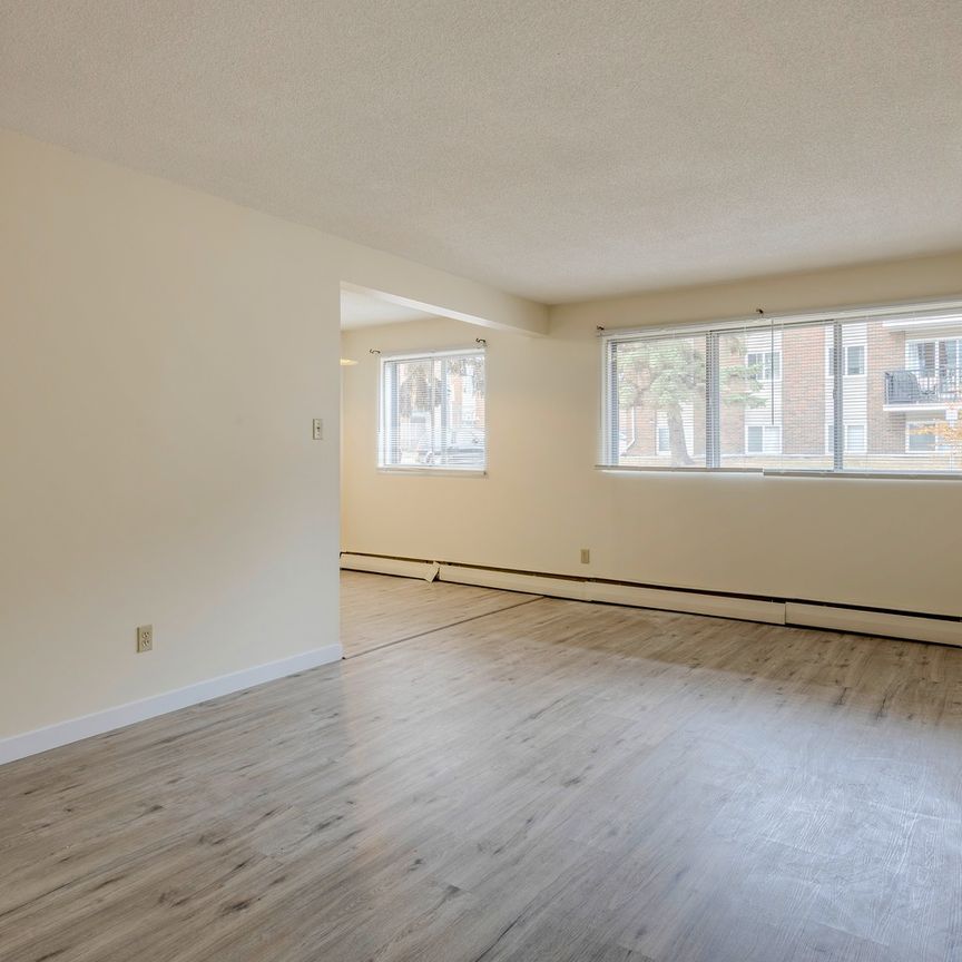 Elmwood II - Photo 1