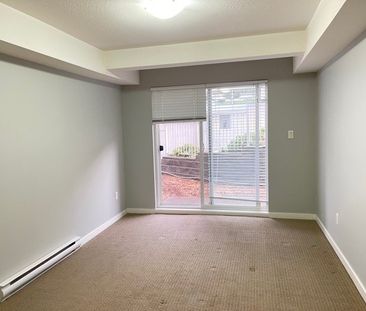 1 Bedroom at Old Yale Heights! - Photo 3