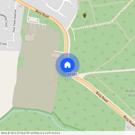 Bury Road, Bury St. Edmunds