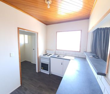 Large Section & Pet Friendly - Photo 1