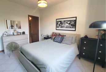 Grazioso tricolare in contesto di corte.