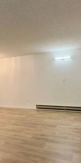 COMPLETELY RENOVATED Alexandra Place one bed one bath for rent - Photo 1