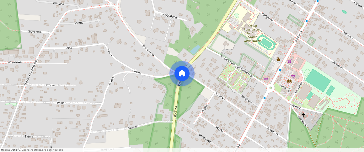 Puszczykowo • Józefa Ignacego Kraszewskiego