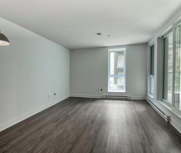 9675 Av. Papineau, app.113, H2B 3C8, H2B 3C8, Montréal - Photo 4