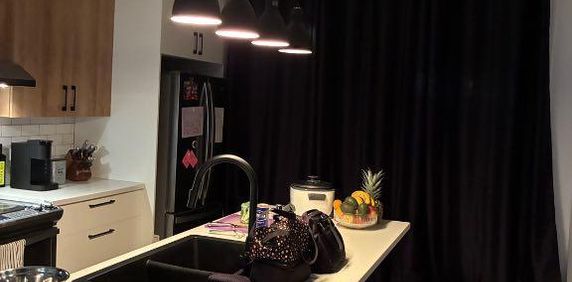 Logement beau 4 et demi récent ( 2023 ) La Présentation, 1er Juillet 2026 - Photo 2