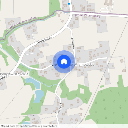 ul. Leśna, Dankowice, Wilamowice, bielski, śląskie