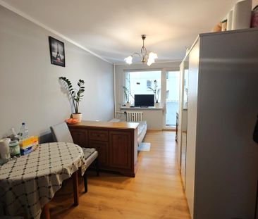 MIESZKANIE na WYNAJEM GOLENIÓW (437348) - Photo 4