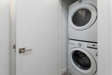 Edmonton Unfurnished Lower Level Rental in West Jasper Place - Modern New Build Suite in Jasper Place - Photo 5