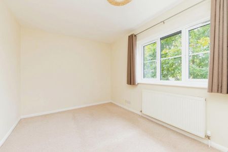 Halleys Ridge - Photo 5