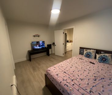 3613 Dutch Village Rd. - Photo 2