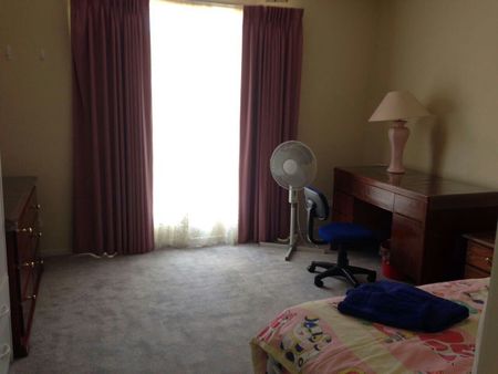 Flora Hill - Photo 5