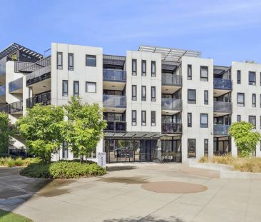 Character filled 2 bedroom apartment with street access - Photo 2