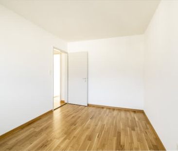 3.5 Zimmer, EG - Photo 6