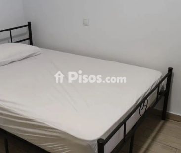 Piso en alquiler en Calle Miguel Servet - Photo 5
