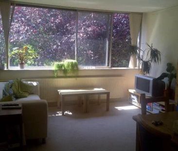 Appartement de 2 pièces Prof. Titus Brandsmalaan, Vleuten - À louer - Foto 1