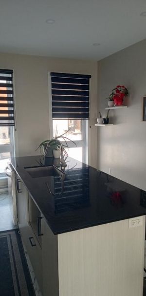 Maison de ville sur 3 étages avec vue imprenable sur le fleuve - Photo 1