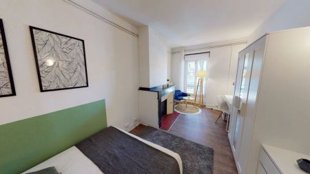 54 boulevard d'Arcole 54, Toulouse - Photo 3
