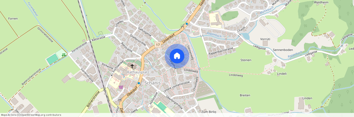 8718, Schänis, Steinen, 16