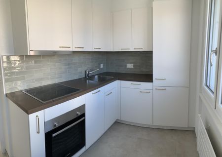 Rue Blaise-Cendrars 12 . appartement 6ème étage Est - Photo 2