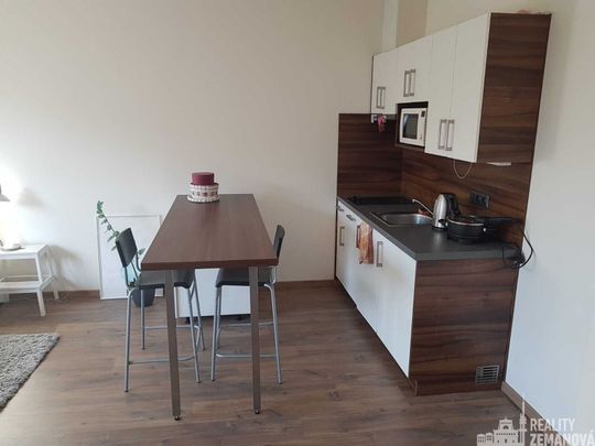 Pronájem bytu 1+kk a garsoniéry 30 m², Hanusova , Praha - Photo 1