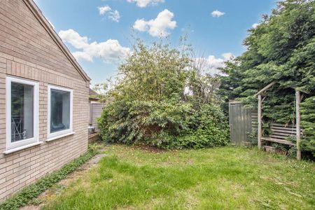 3 bedroom semi-detached bungalow to rent - Photo 5