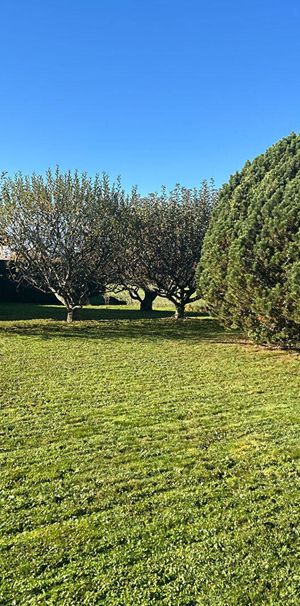 Location maison 6 pièces 167.91 m² à Prévessin-Moëns (01280) - Photo 1