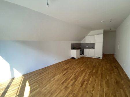 Sonnige 2 Zimmerwohnung mit Dachterrasse - 1 bedroom Apartment with terrace TRAUM ERSTBEZUG - Photo 3