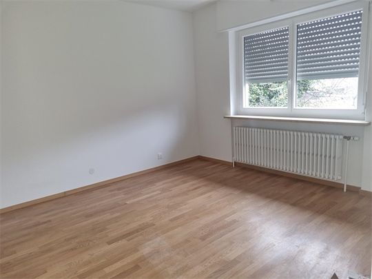 Location Maison 165.53 M² WENTZWILLER 1 800 € - Photo 1