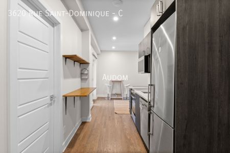 3620 Rue Saint-Dominique - C - Photo 5