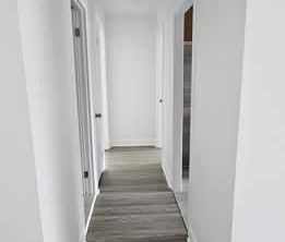 2 CH - 1 SDB - Montréal - $1,568 /mo - Photo 1