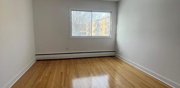 1 CH - 1 SDB - Montréal - $1,300 /mo - Photo 2