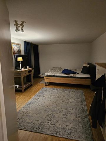 Gemütliche Wohnung in Rheinau - Photo 2