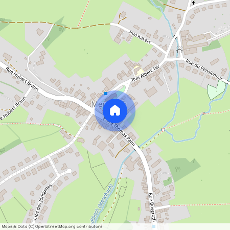 Place Thomas Palm, 3, a, 4837, Membach