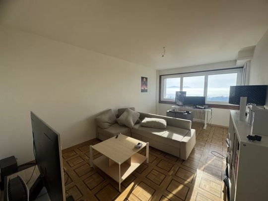 Bel appartement de 3.5 pièces - Photo 1