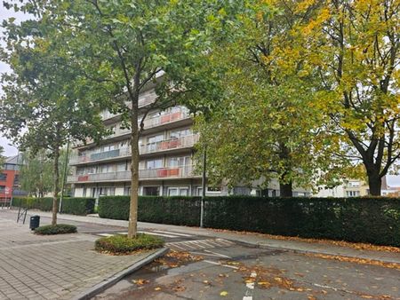 Studio te huur - Foto 2