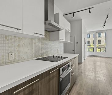 1405 Rue Bishop, Montréal, QC - Photo 3
