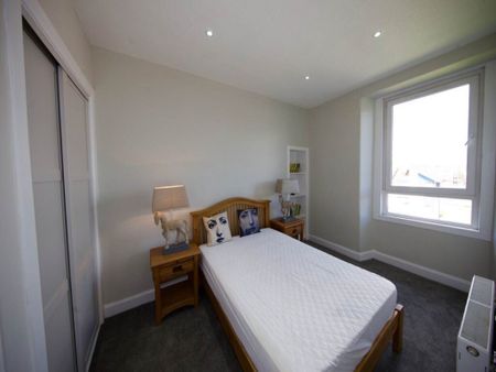 Hilltown 197 (3/2), DD3 7AF, Dundee - Photo 5