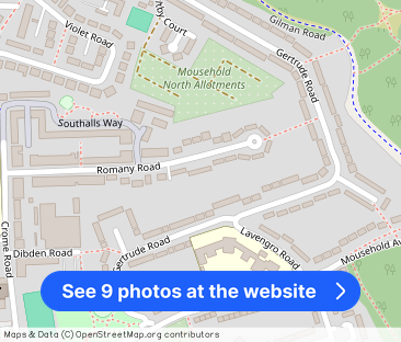 Romany Road - UFR - Photo 1