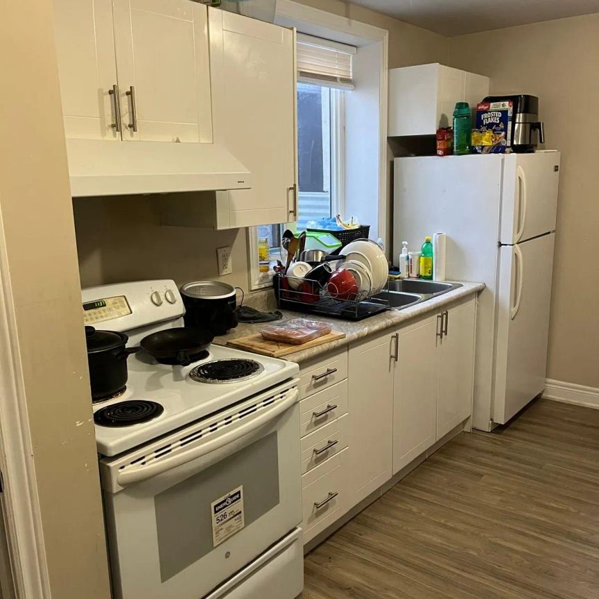 44 Regina Avenue #BSMT 1 - Photo 1