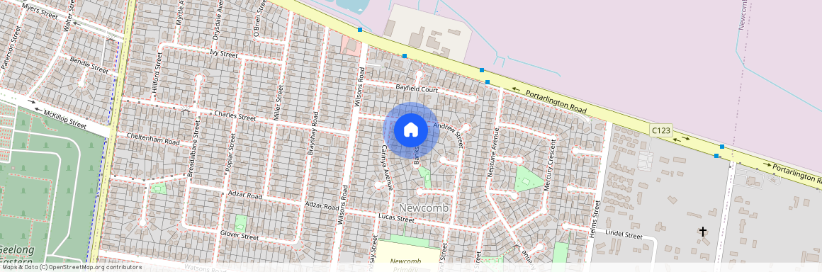 4 Banksia Court, Newcomb